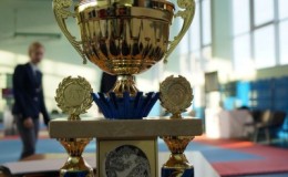 Соревнования по каратэ Sen-bin Cup 2013