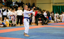 Соревнования Lviv Karate Open 2013