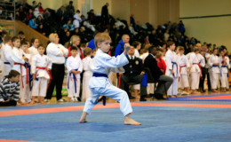 Соревнования Lviv Karate Open 2013
