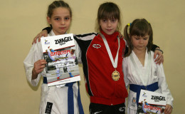 Соревнования по каратэ Zvyagel Open 2014, Новоград-Волынский