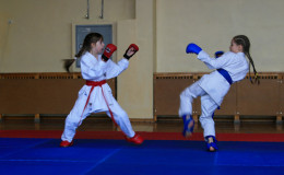 Соревнования по каратэ Zvyagel Open 2014, Новоград-Волынский