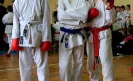 Соревнования по каратэ Zvyagel Open 2014, Новоград-Волынский