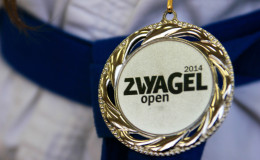 Соревнования по каратэ Zvyagel Open 2014, Новоград-Волынский