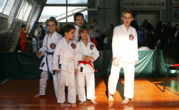 Соревнования по каратэ Chernivtsi Open 2014