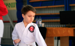Соревнования по каратэ Chernivtsi Open 2014
