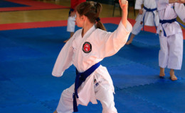 Соревнования по каратэ Chernivtsi Open 2014