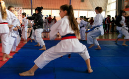 Соревнования по каратэ Chernivtsi Open 2014