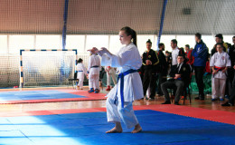 Соревнования по каратэ Chernivtsi Open 2014