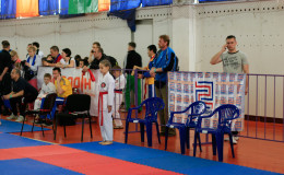 Соревнования по каратэ Kyiv Open 2014