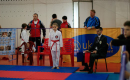 Соревнования по каратэ Kyiv Open 2014