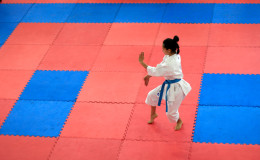 Соревнования по каратэ Kyiv Open 2014