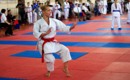 Соревнования по каратэ Kyiv Open 2014