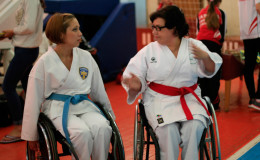 Соревнования по каратэ Kyiv Open 2014