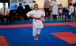 Соревнования по каратэ Kyiv Open 2014