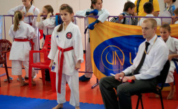 Соревнования по каратэ Kyiv Open 2014