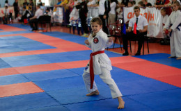 Соревнования по каратэ Kyiv Open 2014