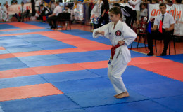 Соревнования по каратэ Kyiv Open 2014