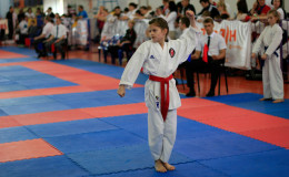 Соревнования по каратэ Kyiv Open 2014