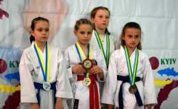 Соревнования по каратэ Kyiv Open 2014