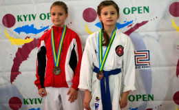 Соревнования по каратэ Kyiv Open 2014