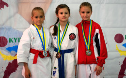 Соревнования по каратэ Kyiv Open 2014