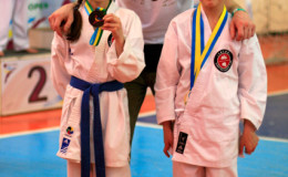 Соревнования по каратэ Kyiv Open 2014