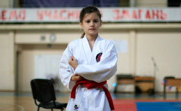 World Cup Franko-Open 2014