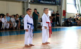 World Cup Franko-Open 2014