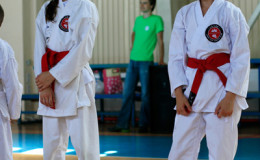 World Cup Franko-Open 2014
