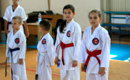 World Cup Franko-Open 2014