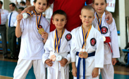 World Cup Franko-Open 2014